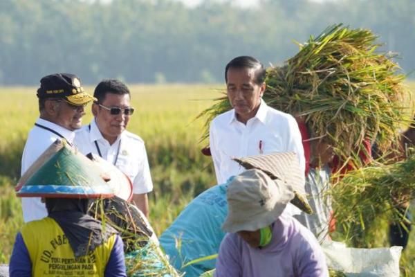 Jaga Stabilitas Pangan, NFA Dorong Peningkatan Produksi Gabah dan Beras