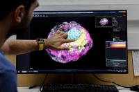 Ilmuwan Israel Ciptakan Model Embrio Manusia Tanpa Telur atau Sperma