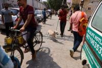Jelang G20, New Delhi Singkirkan Anjing Liar Setelah Kawasan Kumuh dan Kera