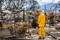 Sebulan Setelah Kebakaran Hutan Maui, 66 Orang Masih Hilang