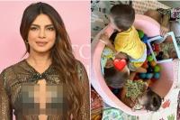 Priyanka Chopra Bahagia Temani Putrinya Malti Play Date Bersama Kawan-kawannya