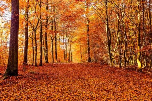 23 September Ekuinoks Musim Gugur, Kala Matahari Melintasi Ekuator Langit Menuju Selatan