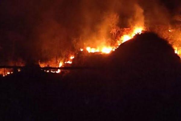 Tembus Medan Terjal, Tim Gabungan Padamkan Kebakaran Gunung Jayanti