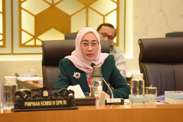 Wakil Ketua Komisi IV DPR RI Anggia Erma Rini (Foto: dpr) 