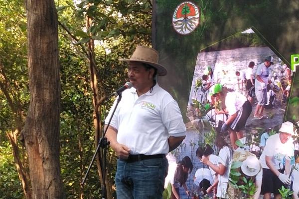 Wujudkan Revolusi Hijau, ICMI Bertekad Tanam 1 Miliar Pohon