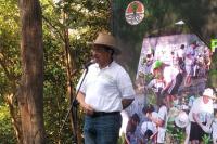 Wujudkan Revolusi Hijau, ICMI Bertekad Tanam 1 Miliar Pohon