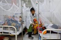 Rekor, Kematian Akibat Demam Berdarah di Bangladesh Mencapai 1.000 Orang