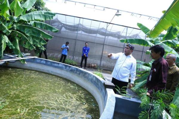 Wamendes PDTT Ajak Masyarakat Terlibat Majukan BUMDesa