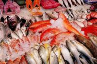 Dekati Target, Konsumsi Ikan Capai 56,48 Kilogram Per Kapita.
