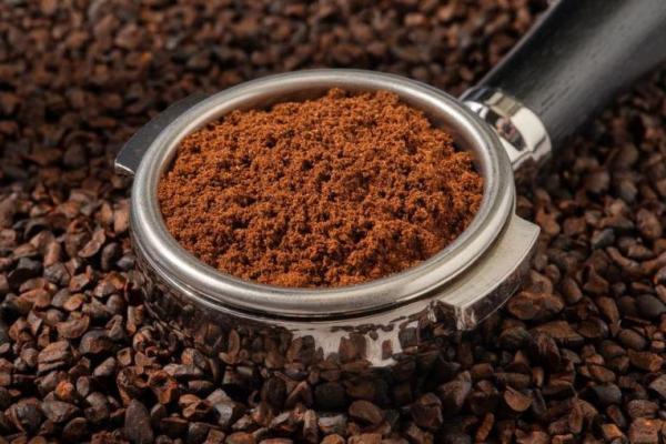 Waktu Paling Tepat untuk Minum Kopi Agar Panjang Umur