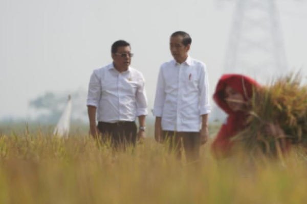 Di Bawah Tekanan El Nino, Kepala NFA: Petani Masih Tanam dan Panen