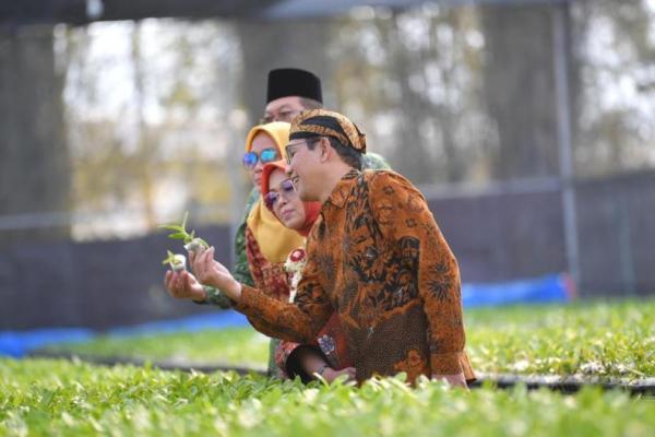 Gus Halim Dorong Akselerasi Ekspor Anggrek BUMDes Bersama Singosari