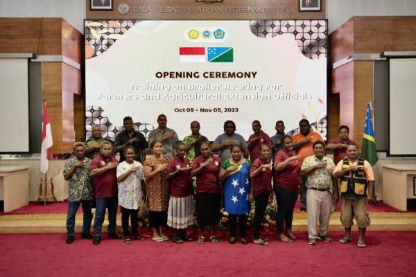 Kementan Latih Peternak dan Penyuluh Negara Kepulauan Solomon Beternak Ayam Broiler