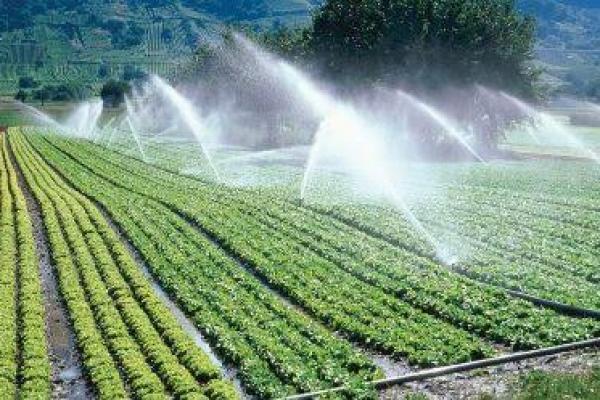 Peringati Hari Pangan Sedunia 2023, FAO Dengungkan Penyelamatan Air