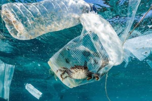 Sampah Plastik Berkurang 8% Per Tahun, Bisa kah Target 70% Tercapai? 