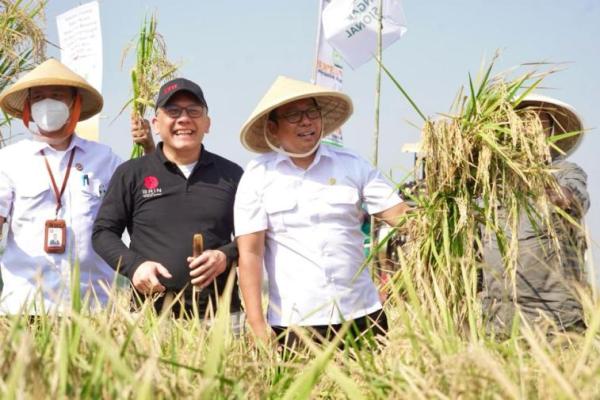 Terintegrasi Hulu ke Hilir, Kepala NFA: Dem Area Kuatkan Pasokan CBP