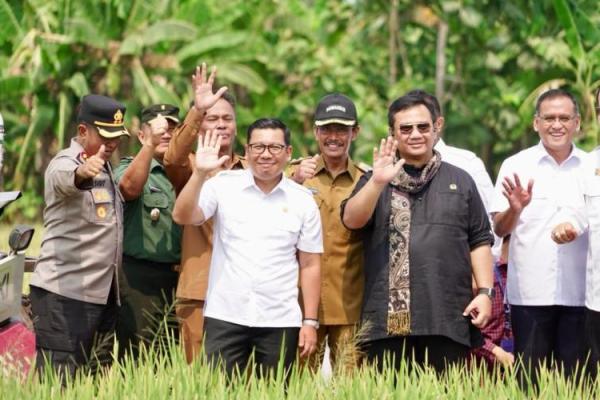 Kepala NFA: Produksi Nasional, Kunci Stabilisasi Stok dan Harga Beras