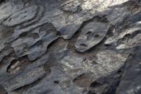 Ukiran Batu Kuno di Sungai Amazon Terekspos oleh Kekeringan