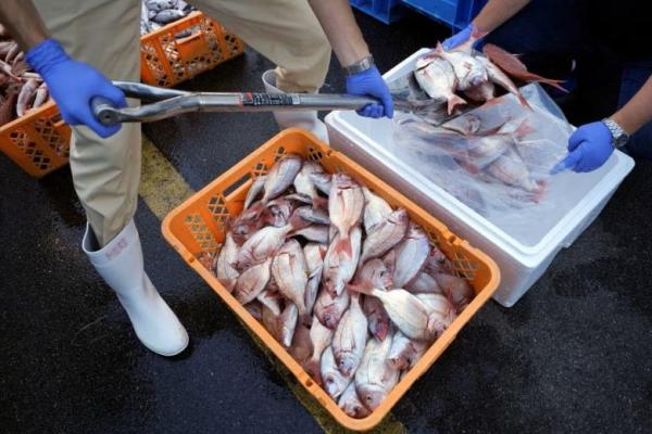 Tekan China, G7 Serukan Pencabutan Larangan Impor Makanan Jepang