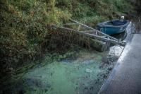 Kebangkitan Populasi Alga di Lough Neagh Sebabkan Kontaminasi Terburuk di Danau Terbesar Irlandia