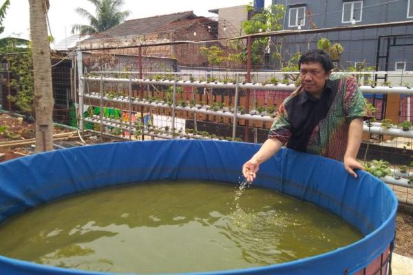Ingin Berkebun di Lahan Terbatas? Coba Pakai Konsep Easy Farm