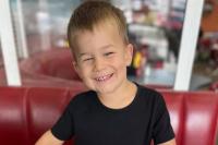 Baru Ditinggal Sebentar Sang Ayah, Balita Disengat Lebih dari 20 Lebah