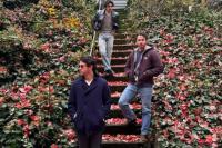 Rehat di Sela Jadwal Tur yang Padat Jonas Brothers Menikmati Indahnya Musim Gugur