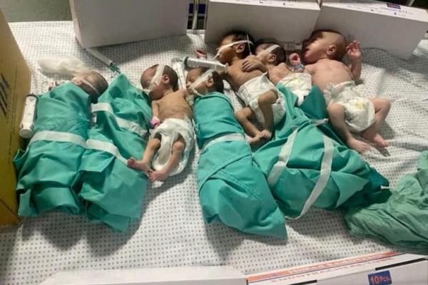 Sekitar 650 Pasien Masih Tertahan, Tank Israel Blokade Rumah Sakit Gaza