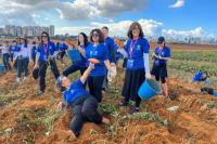 Usai Usir Pekerja Palestina, Relawan Israel Turun ke Kebun untuk Panen