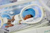 Puluhan Bayi Prematur Dievakuasi dari Rumah Sakit al-Shifa ke Gaza Selatan