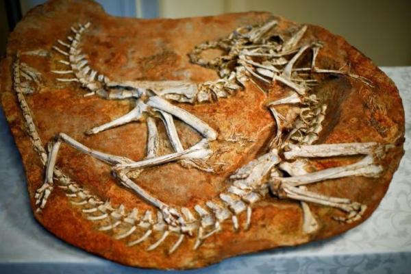 Mongolia Desak Rusia dan Negara Lain untuk Kembalikan Artefak Budayanya