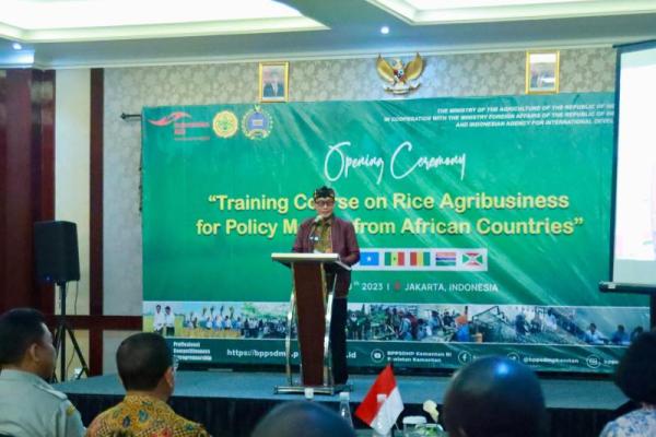 Kementan Gelar Pelatihan Agribisnis Padi bagi Pemangku Kebijakan Afrika