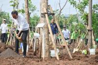 Dari Hutan Kota, Jokowi Serukan Tanam Pohon Serentak di Seluruh Indonesia