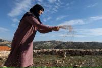 Manfaatkan Masa Tenang, Warga Lebanon Wilayah Selatan Buru-buru Bercocok Tanam