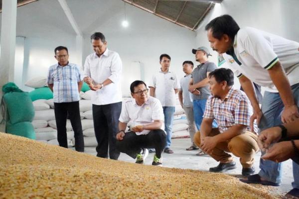 Kepala NFA Pastikan Kemanfaatan SPHP Jagung Pakan untuk Peternak