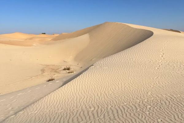 Kisah Petani di Nigeria-Niger, Gurun Menelan Lahan Pertanian akibat Perubahan Iklim