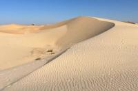 Kisah Petani di Nigeria-Niger, Gurun Menelan Lahan Pertanian akibat Perubahan Iklim