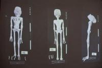 Ilmuwan Sebut Klaim soal Mumi Alien di Peru Sebenarnya Adalah Boneka dari Tulang