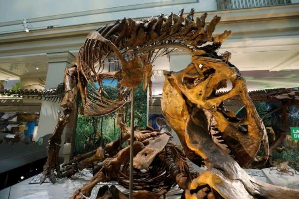 Dinosaurus Pertama Kali Diberi Nama Kadal Besar 200 Tahun yang Lalu