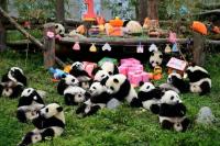 Memulai Era Baru Diplomasi, Tiongkok Kirim Lebih Banyak Panda ke AS