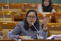 Tak Ada Anggaran Subsidi di APBN, DPR Minta Pemerintah Cari Cara Turunkan Harga Pangan