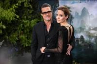 Pertarungan Kebun Anggur Chateau Miraval, Brad Pitt Siap Lawan Angelina Jolie