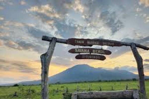 Taman Nasional Baluran Situbondo, Jawa Timur (foto: Kompas) 