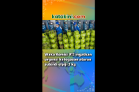 Waka Komisi VII ingatkan urgensi ketegasan aturan subsidi elpiji 3 kg