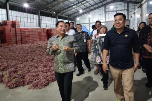 Kunjungan kerja Kepala NFA Arief Prasetyo Adi ke sentra bawang merah di Brebes, Jawa Tengah, pada 19/9/2023. (Foto:NFA) 