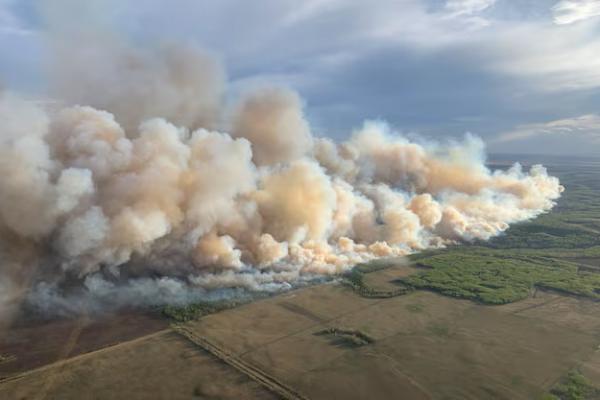 Kebakaran hutan di kawasan Hutan Grande Prairie, 10 Mei 2024. REUTERS 