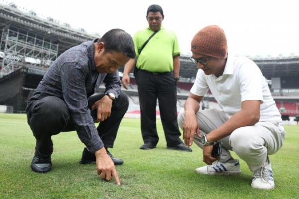 Sekjen PSSI, Yunus Nusi tengah mengecek kualitas rumput Stadion GBK 