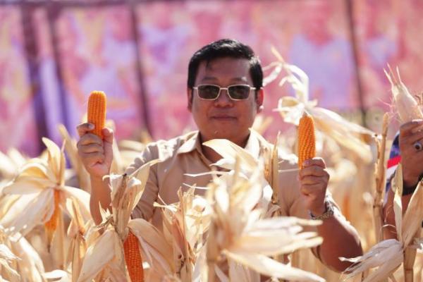 Produksi Melimpah, NFA Minta Bulog Optimal Serap Jagung Petani