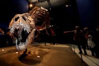 Menilai Kecerdasan Dinosaurus Terutama Tyrex, Jadi Perdebatan yang Rumit