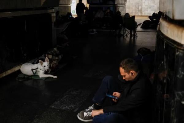 Seekor anjing peliharaan tergeletak di stasiun metro tempat orang berlindung selama serangan militer Rusia, di Kyiv, Ukraina, 1 Juni 2024. REUTERS 